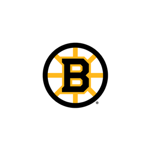 Boston Bruins