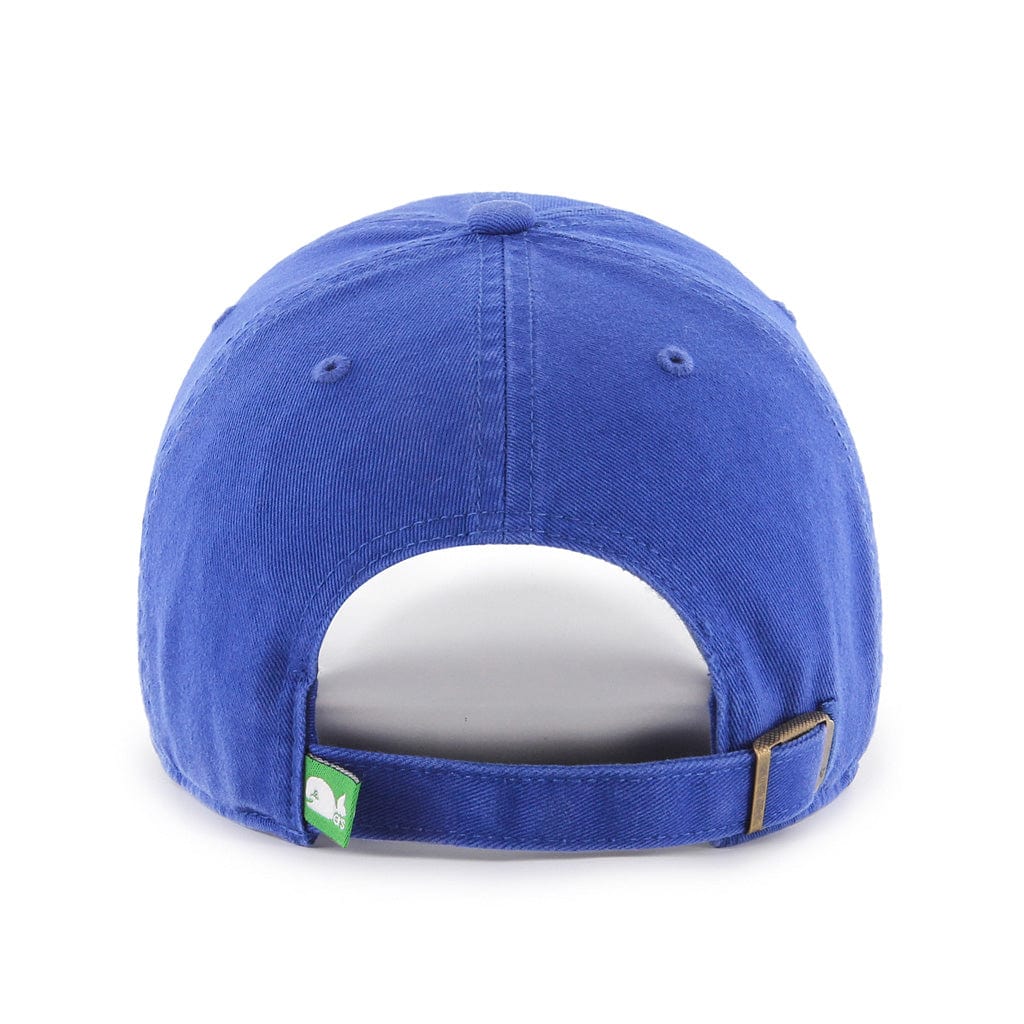 47 Brand NHL Clean Up Adjustable Hat - Hartford Whalers Alternate - TheHockeyShop.com
