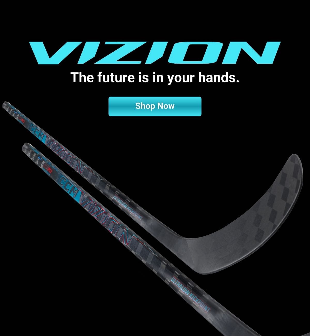 The Hockey Shop | It&rsquo;s a great day for hockey.