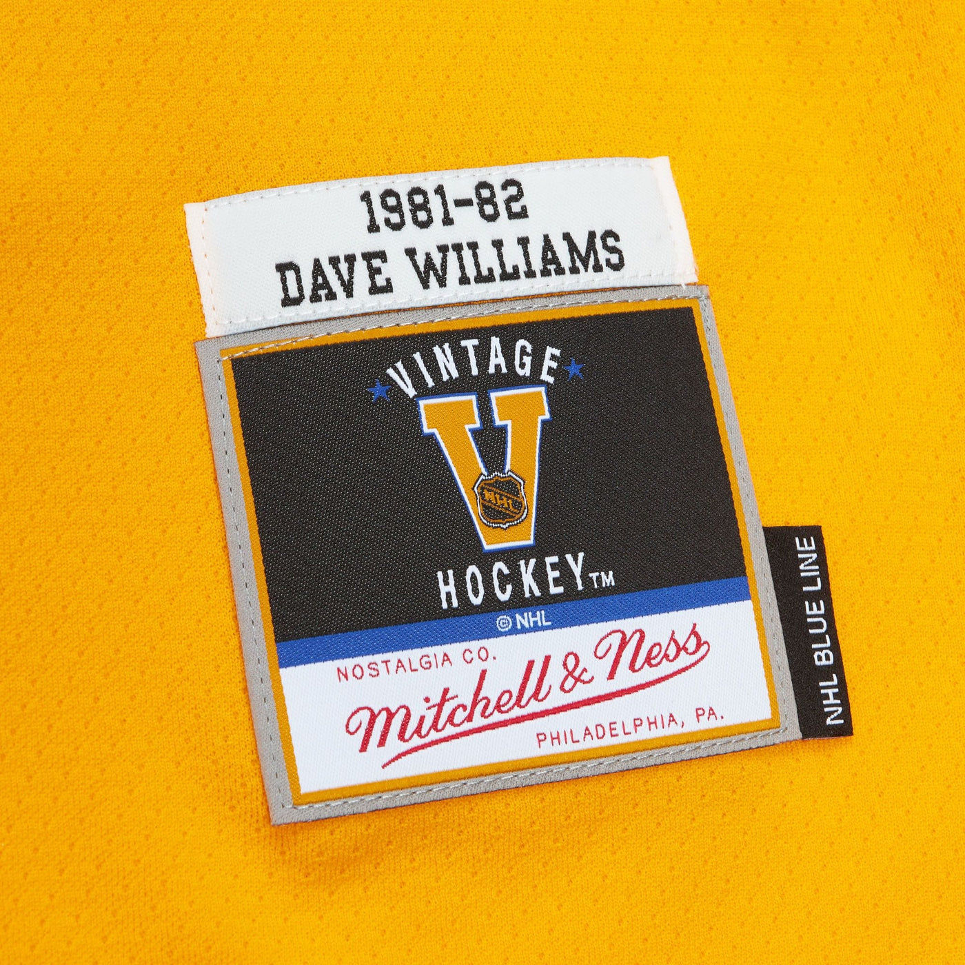 Mitchell & Ness Vintage Senior Jersey - Vancouver Canucks Tiger Williams - TheHockeyShop.com
