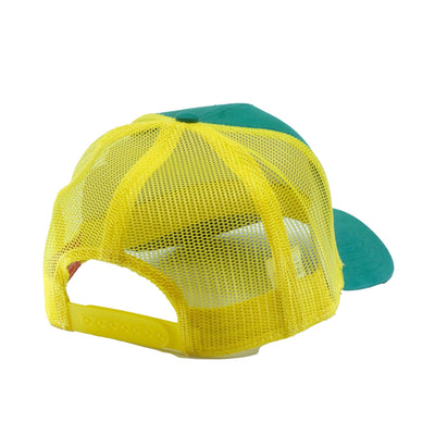 Minnesota North Stars American Needle NHL Valin Snapback Hat