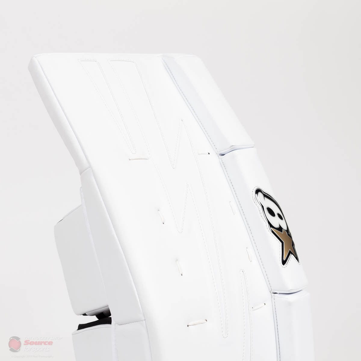 Brian's NetZero 2 Intermediate Goalie Leg Pads