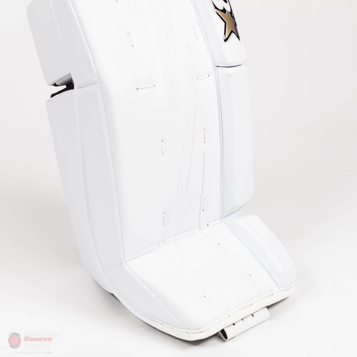 Brian's NetZero 2 Intermediate Goalie Leg Pads