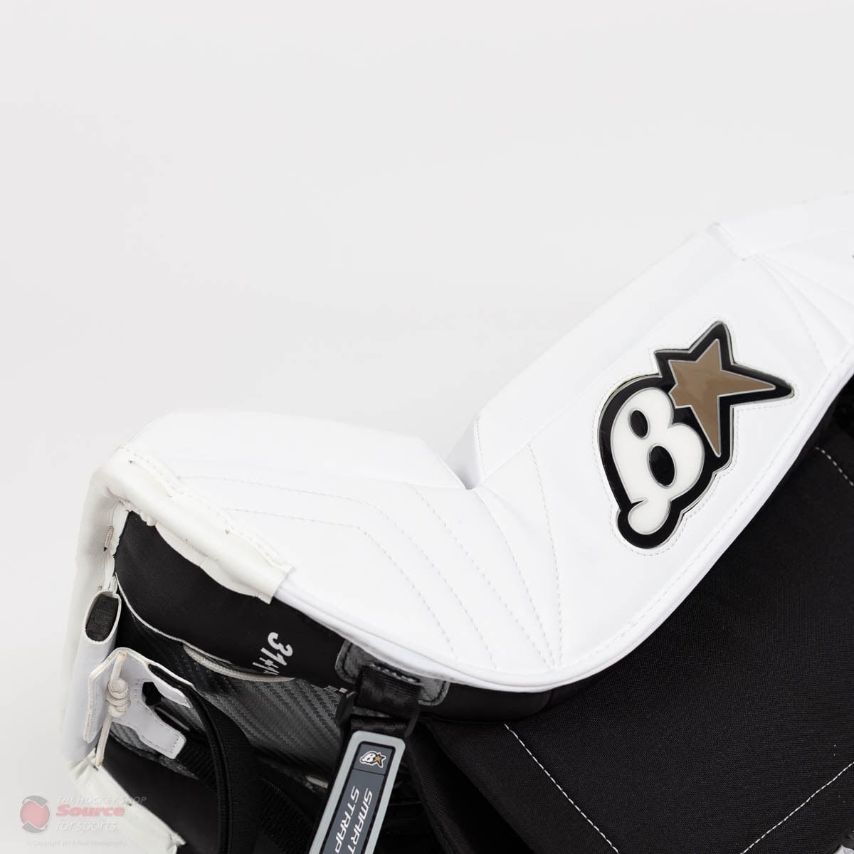 Brian's NetZero 2 Intermediate Goalie Leg Pads
