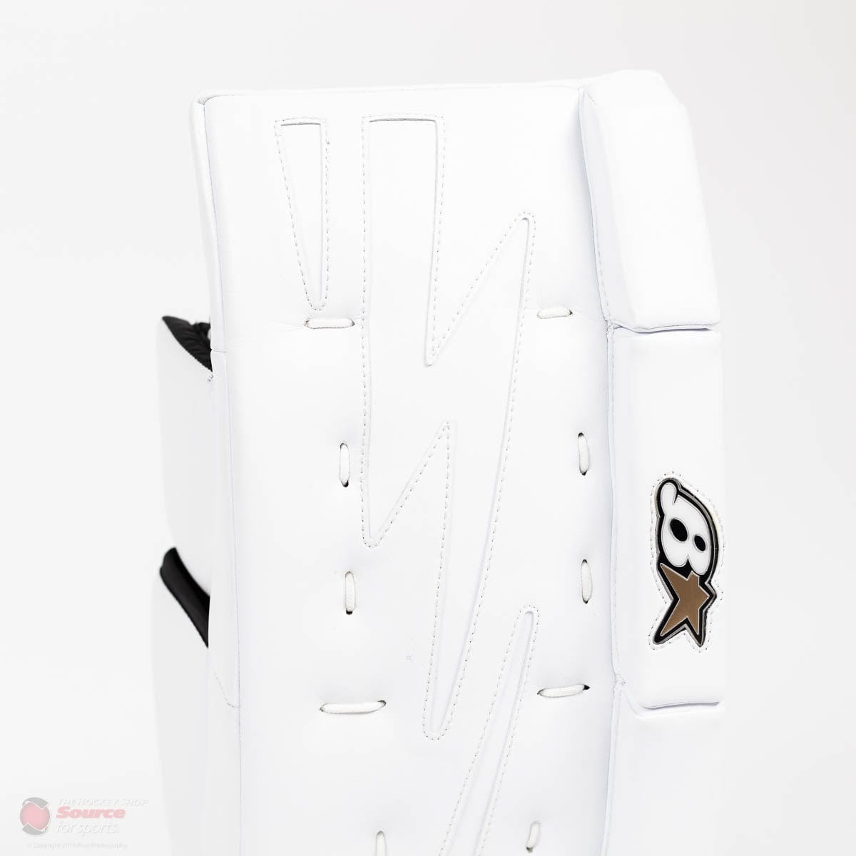Brian's NetZero 2 Youth Goalie Leg Pads