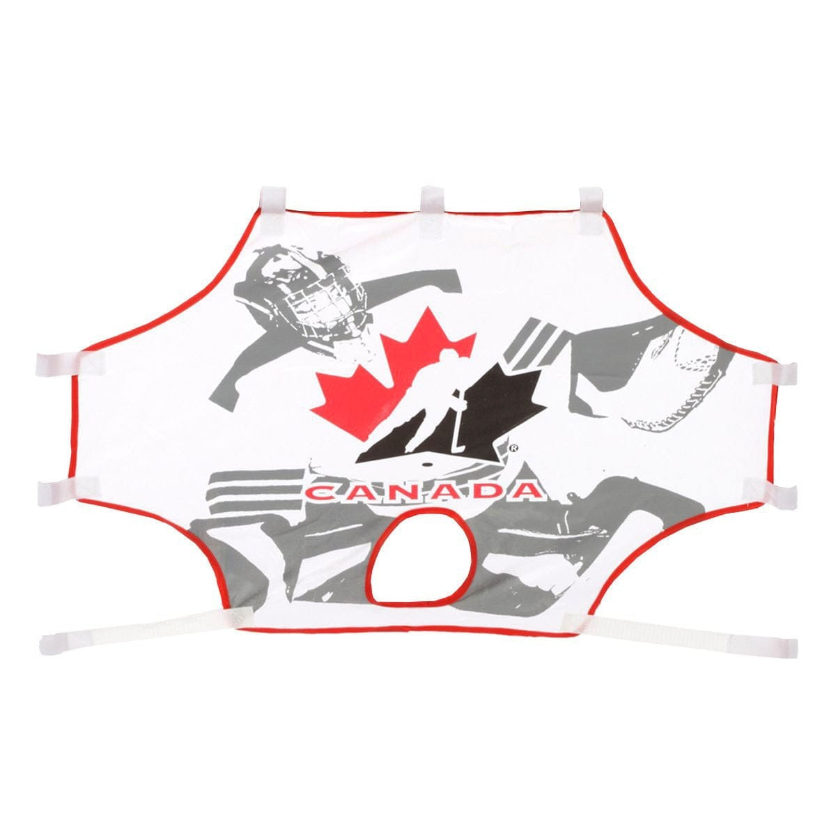 Hockey Canada Mini Hockey Net Shooter Tutor