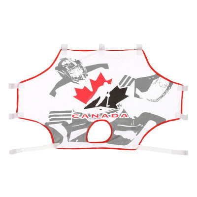 Hockey Canada Mini Hockey Net Shooter Tutor