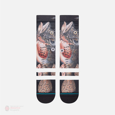 Stance Foundation Taylor Creek Socks
