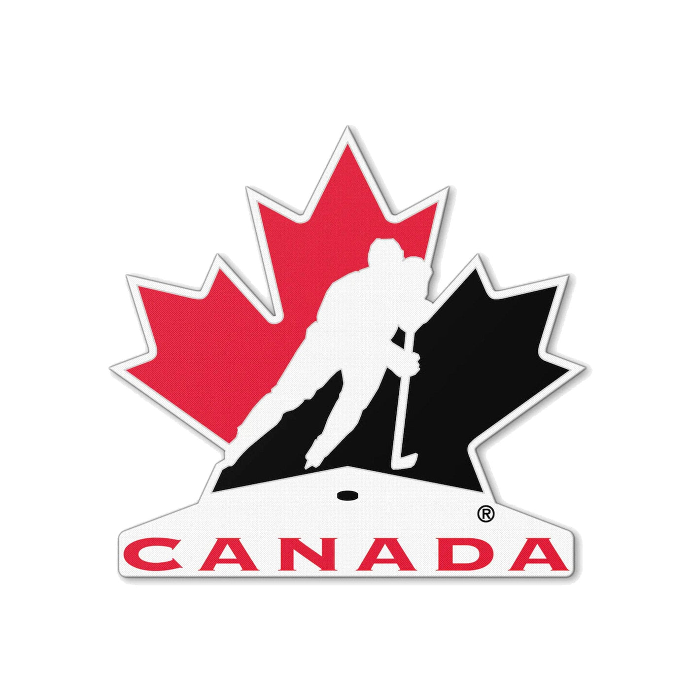 Sports Vault NHL Logo Magnet