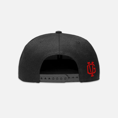 Violent Gentlemen Ivy Snapback Hat